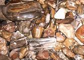 Random tumbled rocks, mostly fossil wood