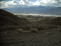 Down the last bit of wash to Badwater Road